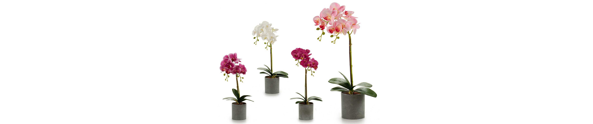 ORQUIDEA MACETA CONIC BLANCA 51CM SUR 4C