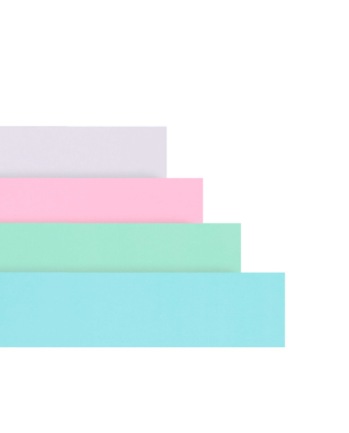 TOMANOTAS A4 40 HOJAS ANILLO COLOR PASTEL SURT 4