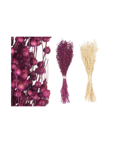 RAMILLETE BOLAS 2 COL SURT NATURAL Y MORADO