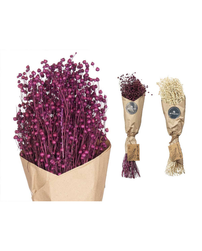 RAMILLETE BOLAS 2 COL SURT NATURAL Y MORADO