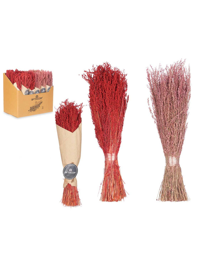 RAMILLETE CENTENO 2 COL SURT ROJO ROSA