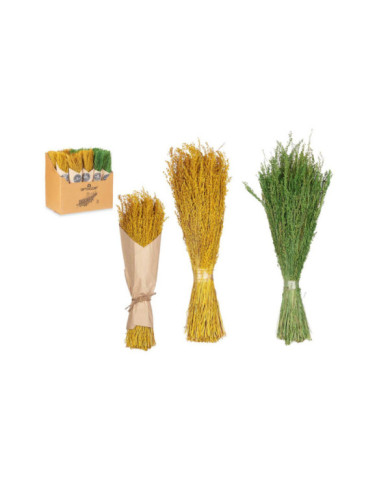 RAMILLETE CENTENO 2 COL SURT AMARILLO VERDE